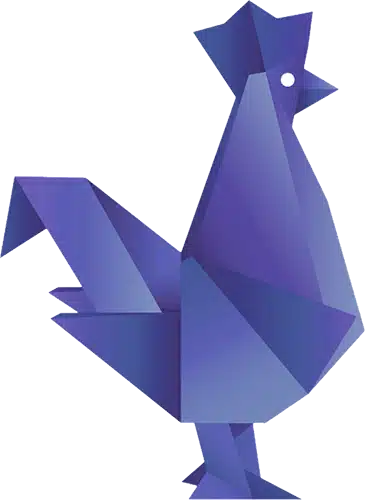 WMS WooCommerce Français