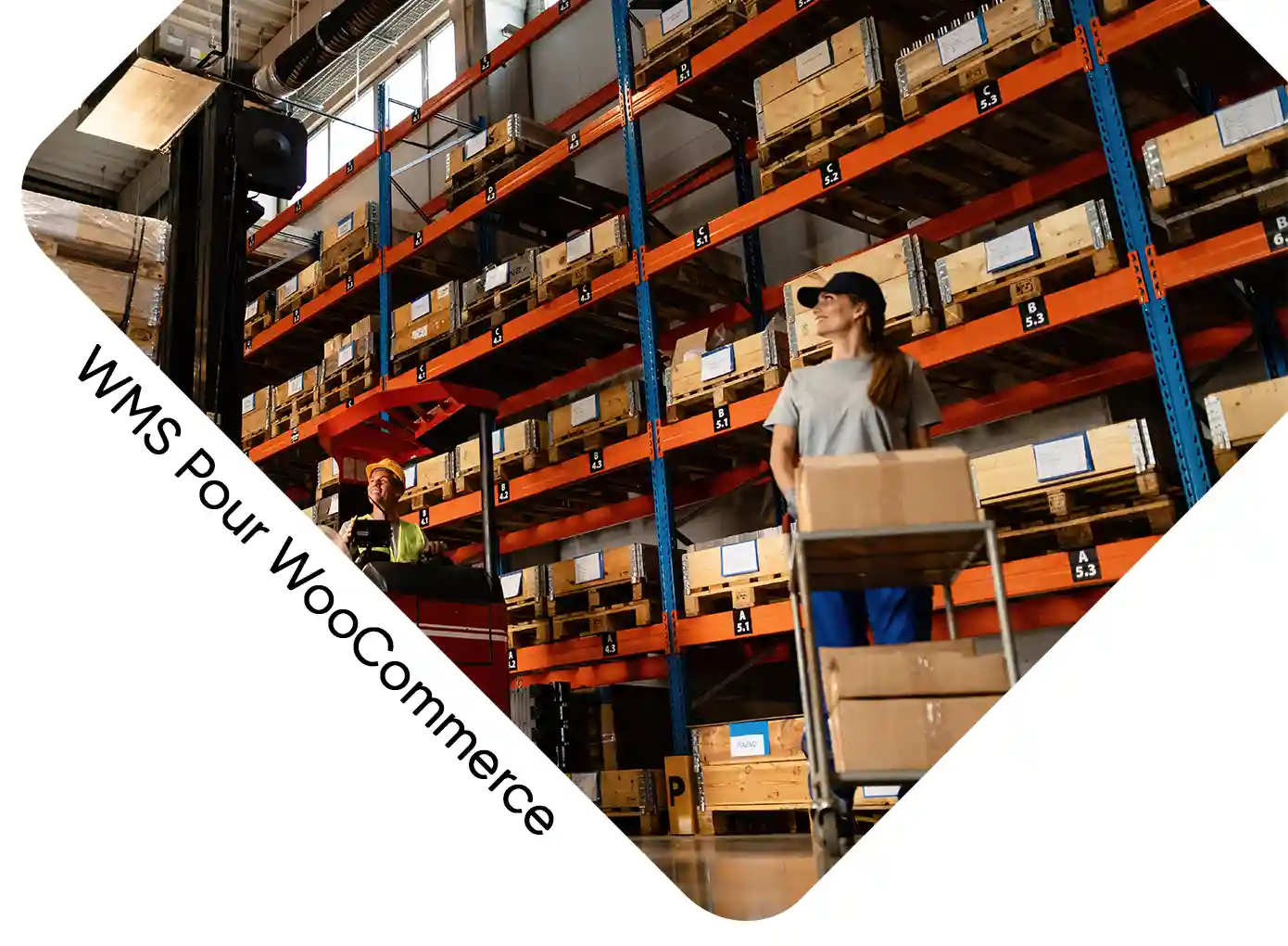 Warehouse management system WMS WooCommerce